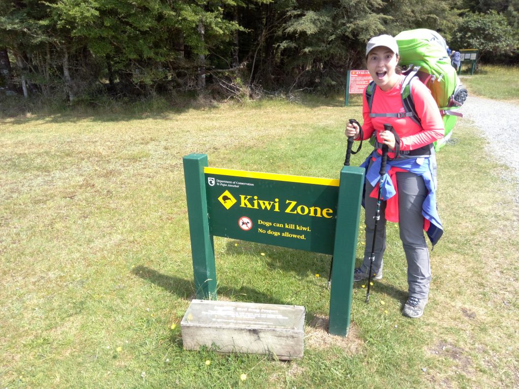 En busca de kiwis en el Kepler Track