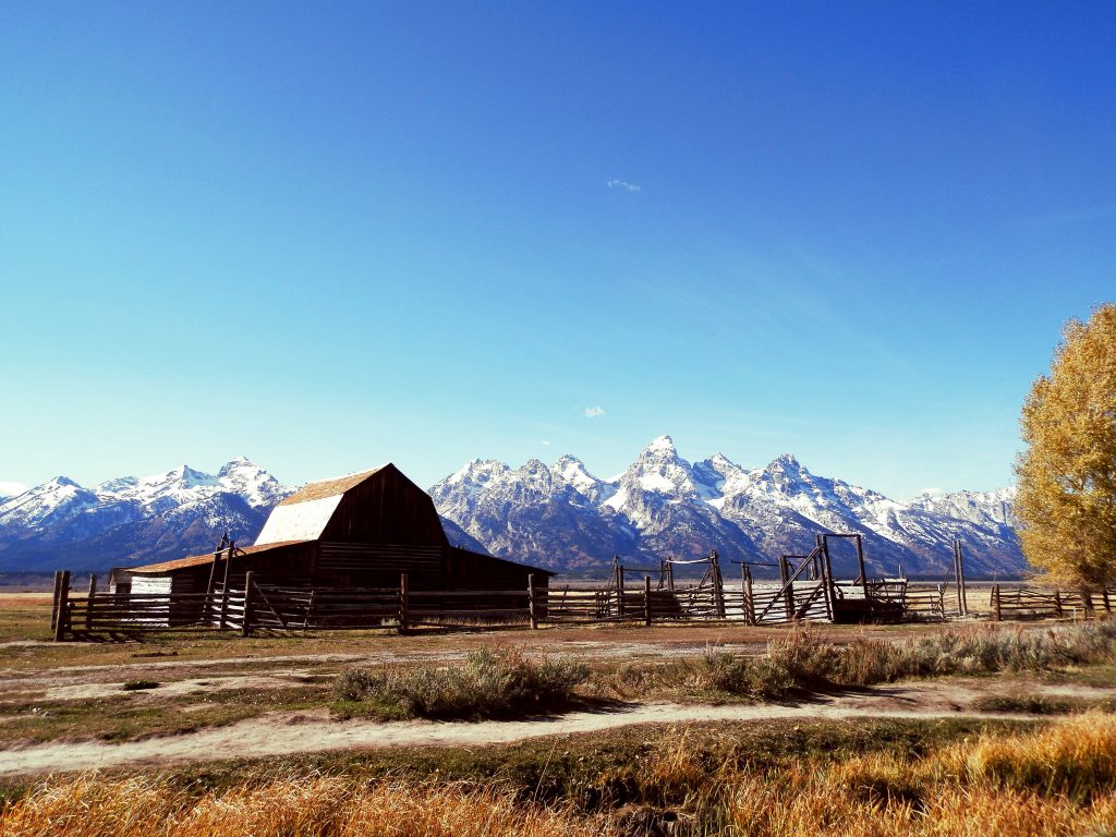 EEUU Oeste Grand Teton